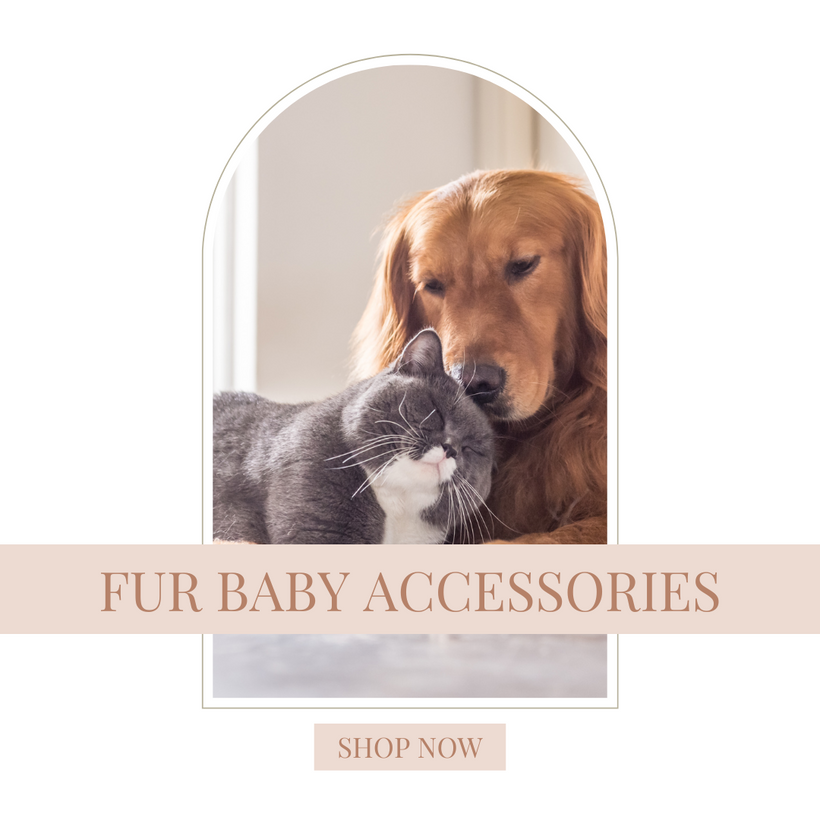 Fur Baby Accessories