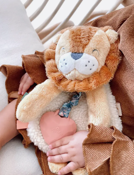 Plush with Silicone Teether Toy